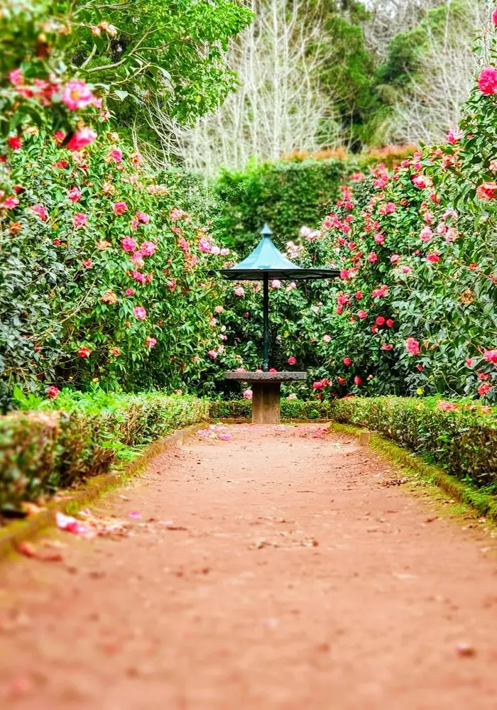 Jardim com cerca viva aparada